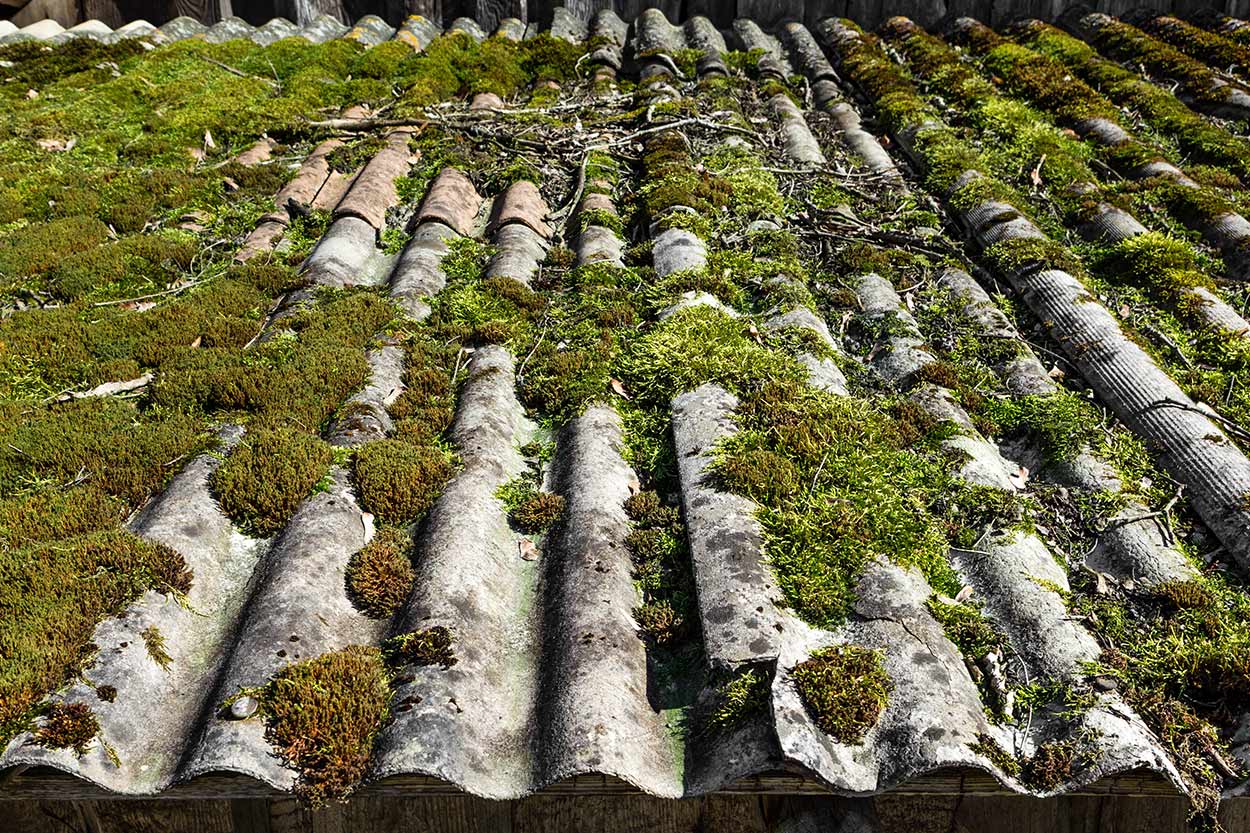 Démoussage de toit Bagnères-de-Bigorre, Démoussage de toit Tarbes, Dépannage plomberie Bagnères-de-Bigorre, Dépannage plomberie Tarbes, Plombier Bagnères-de-Bigorre, Plombier Tarbes, Ramonage Bagnères-de-Bigorre, Ramonage Tarbes, Rénovation salle de bain Bagnères-de-Bigorre, Rénovation salle de bain Tarbes